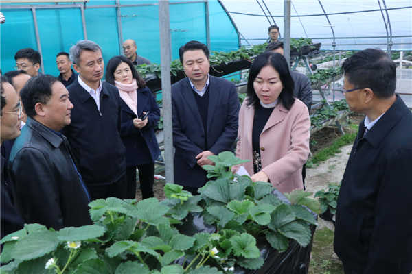 “質(zhì)量興農(nóng)萬里行”陜西站活動花落安康、走進(jìn)漢濱、風(fēng)起陽晨